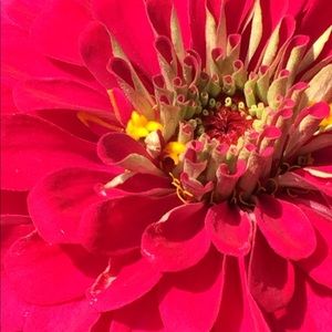 Meet your Posher, Laurel